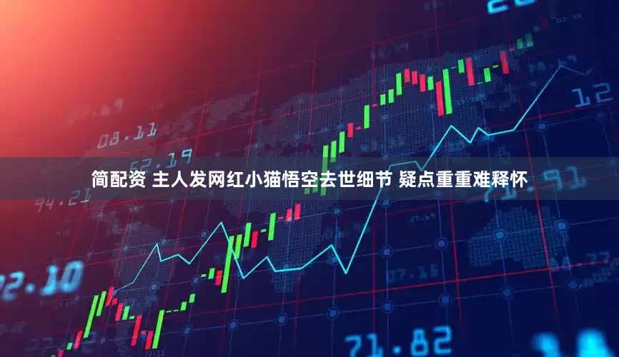 简配资 主人发网红小猫悟空去世细节 疑点重重难释怀