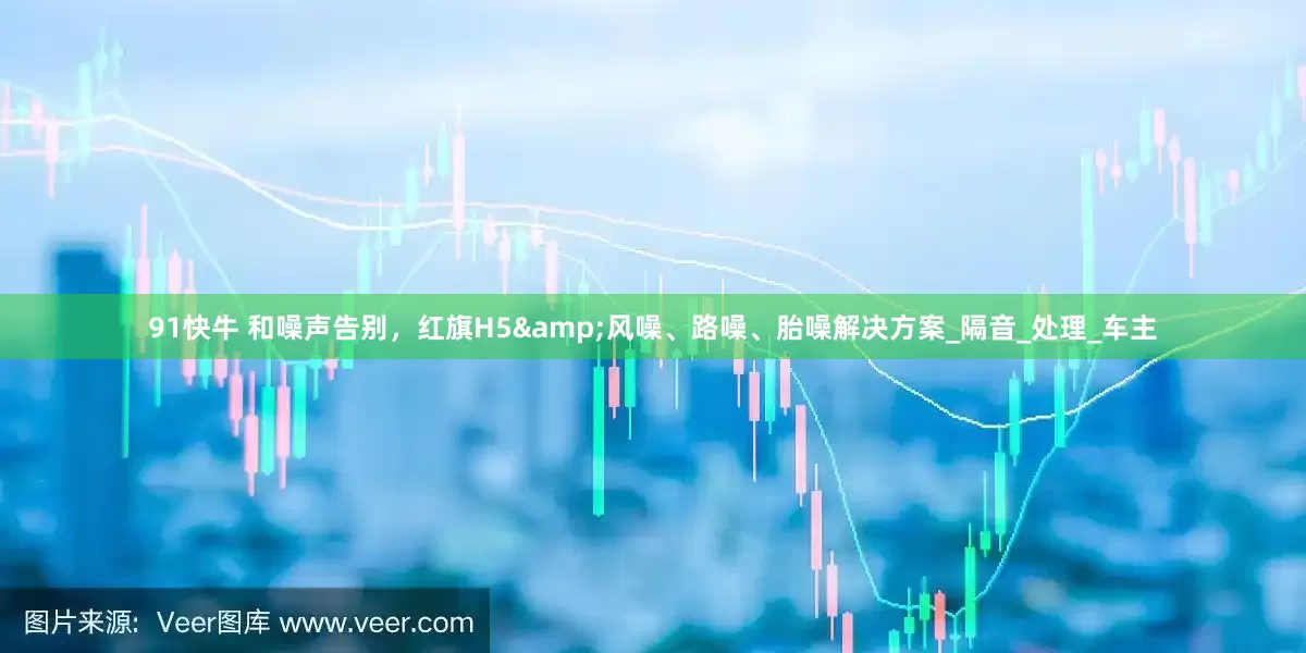 91快牛 和噪声告别，红旗H5&风噪、路噪、胎噪解决方案_隔音_处理_车主