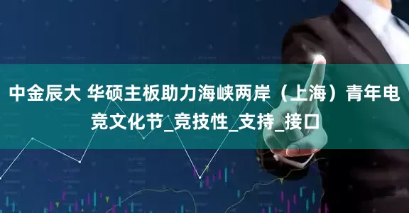 中金辰大 华硕主板助力海峡两岸（上海）青年电竞文化节_竞技性_支持_接口