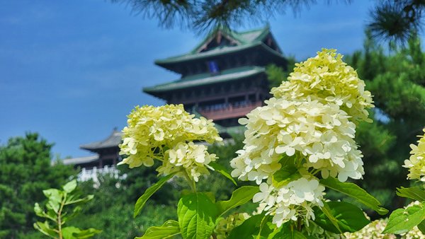 天天配资 北京世园秋意渐浓 邀市民游客赏景打卡