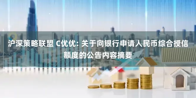 沪深策略联盟 C优优: 关于向银行申请人民币综合授信额度的公告内容摘要